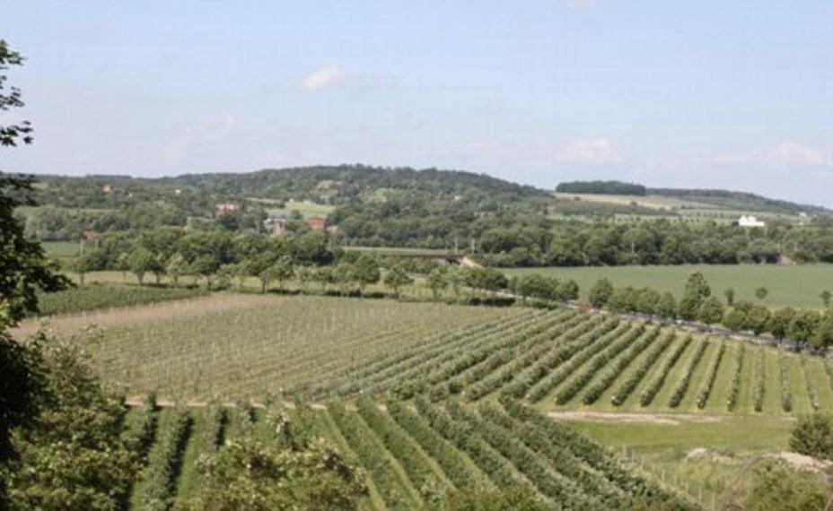 Ferienwohnung Zum Saaletalblick Naumburg  Esterno foto