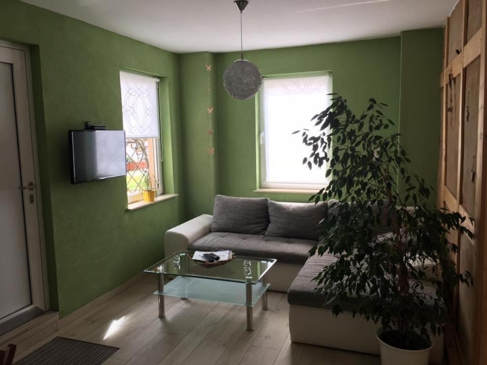 Ferienwohnung Zum Saaletalblick Naumburg  Esterno foto