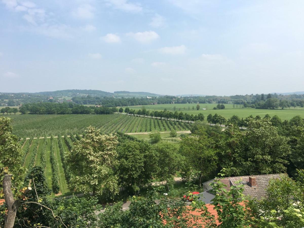 Ferienwohnung Zum Saaletalblick Naumburg  Esterno foto