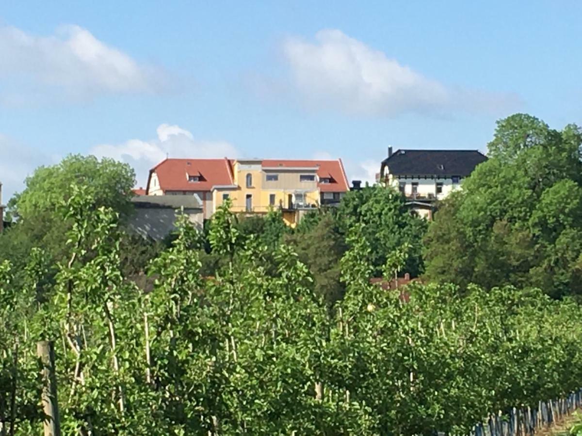 Ferienwohnung Zum Saaletalblick Naumburg  Esterno foto